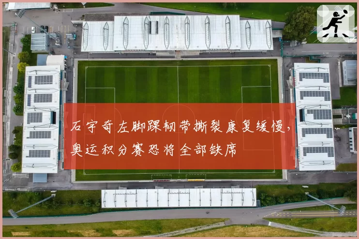 石宇奇左脚踝韧带撕裂康复缓慢，奥运积分赛恐将全部缺席