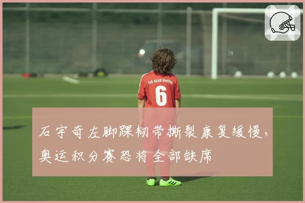 石宇奇左脚踝韧带撕裂康复缓慢，奥运积分赛恐将全部缺席