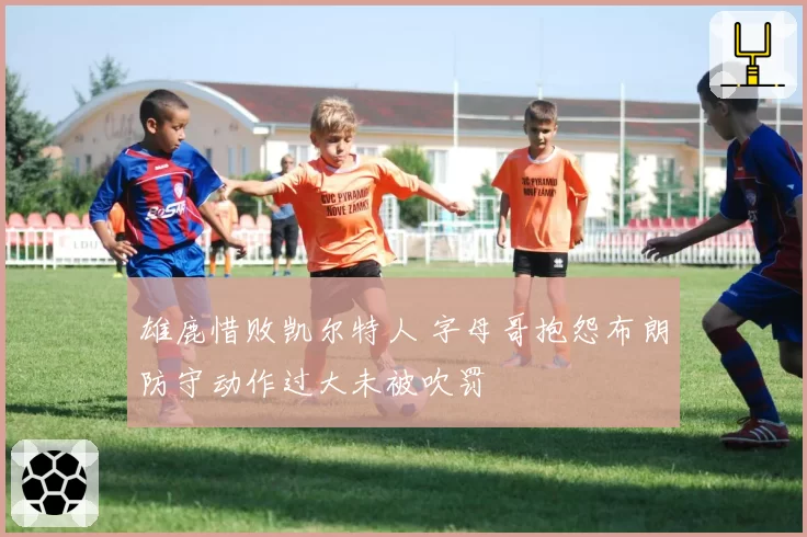 雄鹿惜败凯尔特人 字母哥抱怨布朗防守动作过大未被吹罚