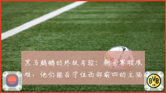 黑马鹈鹕的终极考验：剩余赛程艰难，他们能否守住西部前四的主场优势？